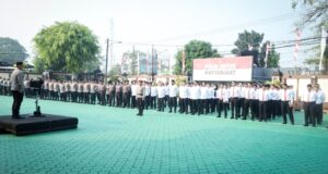 Oplus_16908288