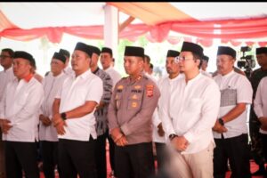Oplus_16908288