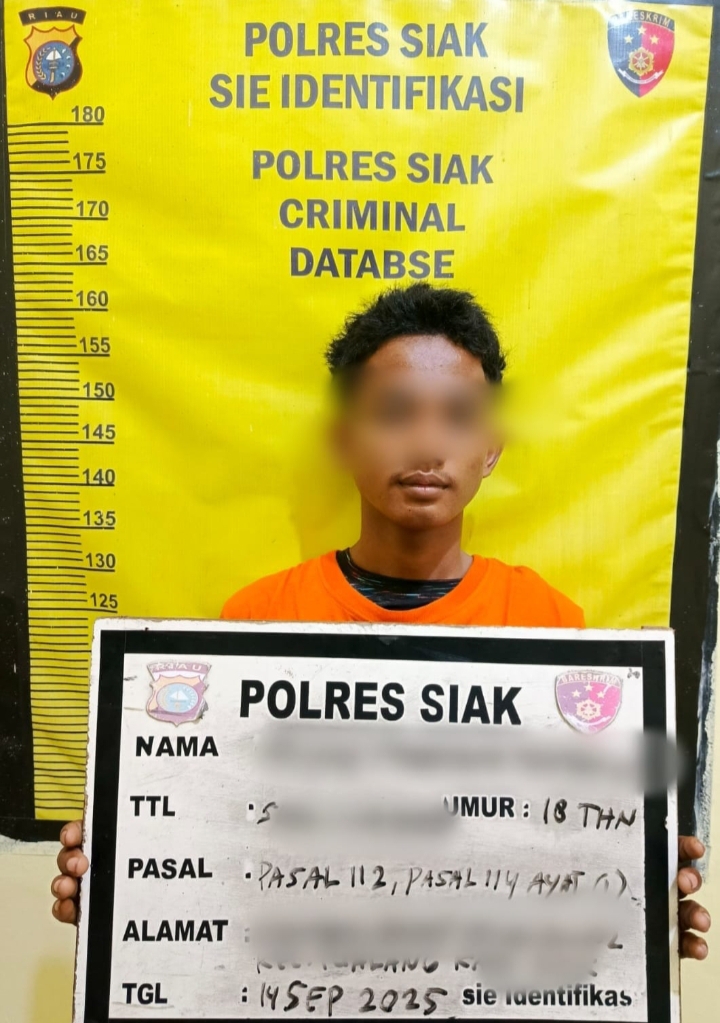 Polsek Lubuk Dalam Ringkus Kurir Shabu di Perkebunan Sawit