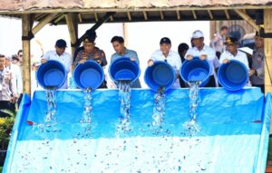 Wapres Gibran Tebar 80 Ribu Bibit Ikan Nila di Banten: Dorong Ketahanan Pangan dan Ekonomi Rakyat Oplus_16908288