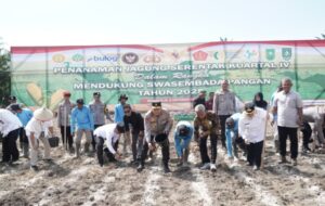 Polda Riau Gelar Penanaman Jagung Serentak Kuartal IV Oplus_16908288