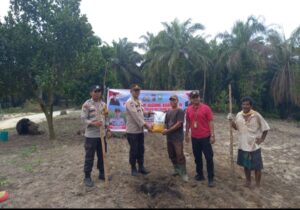 Polsek Kandis Dukung Swasembada Pangan Nasional, Tanam Jagung Bersama Masyarakat di Dua Lokasi Oplus_16908288
