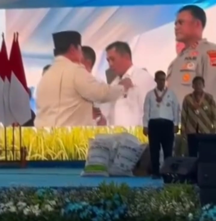 Bupati Aep Terima Tanda Kehormatan dari Presiden, Karawang Masuk 10 Besar Produksi Beras Nasional