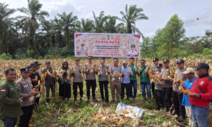 Polsek Kandis Gelar Panen Raya Jagung Dukung Program Presiden RI Wujudkan Ketahanan Pangan