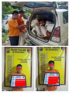 Bawa 12 Tandan Sawit Curian, Dua Pria Diringkus Polsek Tualang Oplus_16908288