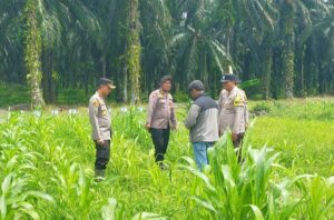 Ketahanan Pangan, Kompol Herman Pelani: Pengolahan Lahan Menjadi Tahapan yang Penting Oplus_16908288