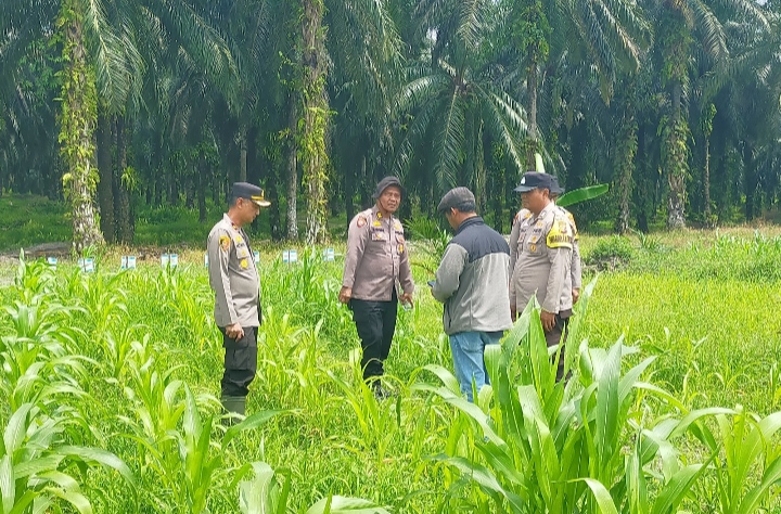Ketahanan Pangan, Kompol Herman Pelani: Pengolahan Lahan Menjadi Tahapan yang Penting