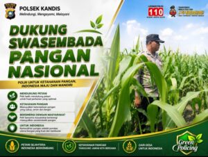 Dari Lahan ke Ketahanan Bangsa! Bhabinkamtibmas Polsek Kandis Turun Langsung Cek Jagung Petani Jambai Makmur Oplus_16908288