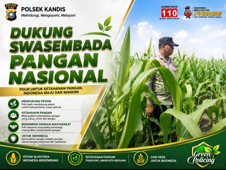 Dari Lahan ke Ketahanan Bangsa! Bhabinkamtibmas Polsek Kandis Turun Langsung Cek Jagung Petani Jambai Makmur
