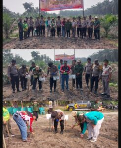 POLISI TURUN KE LAHAN! 4 HEKTARE JAGUNG DITANAM, KETAHANAN PANGAN DI KANDIS DIGENJOT Oplus_16908288